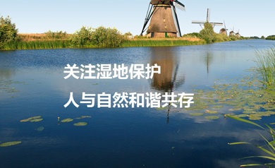 广东省湿地保护协会